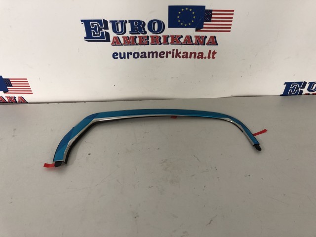 Rear Molding (right)